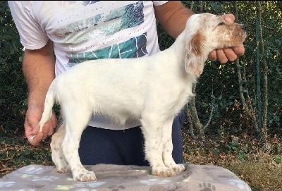 SIRA de la Barthe Neuve